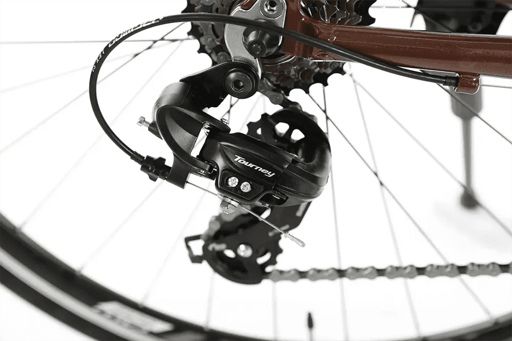 Xe đạp số là gì? 03 thông tin cơ bản về xe đạp số cho người mới tìm hiểu